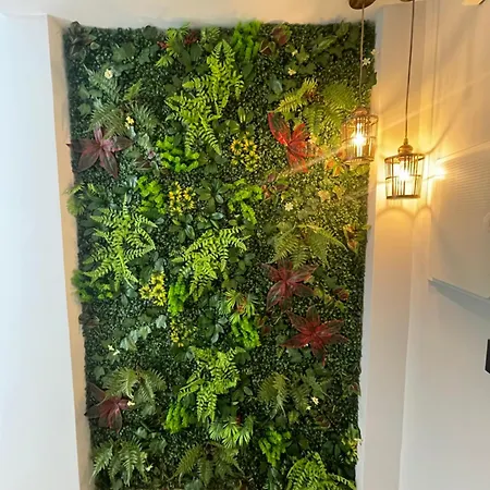 Centrico Santa Ana アパート レオン